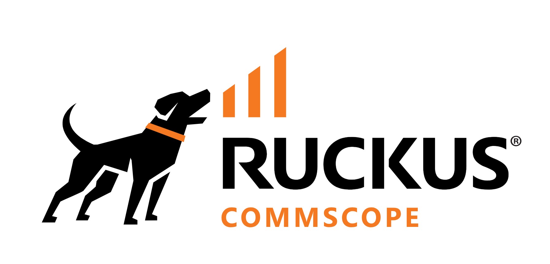Bronze Sponsors